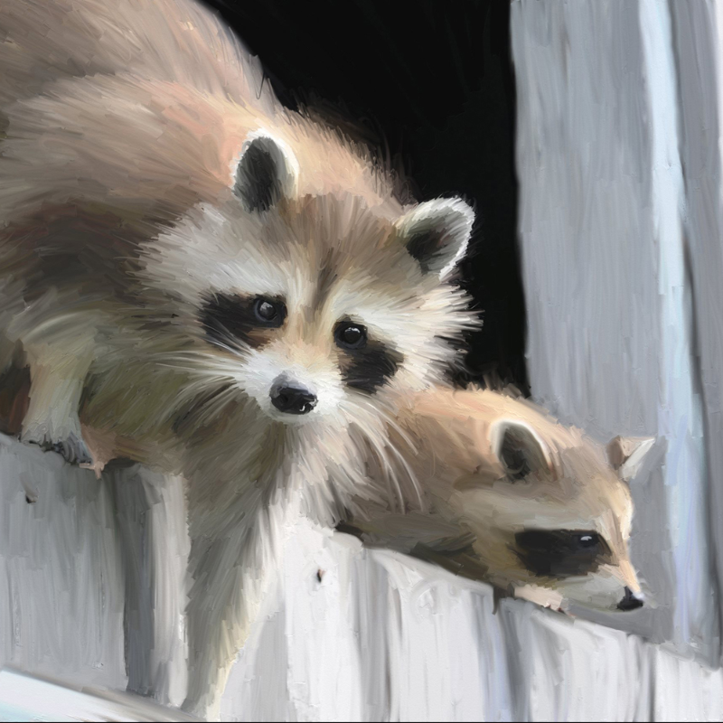 without_frame_square