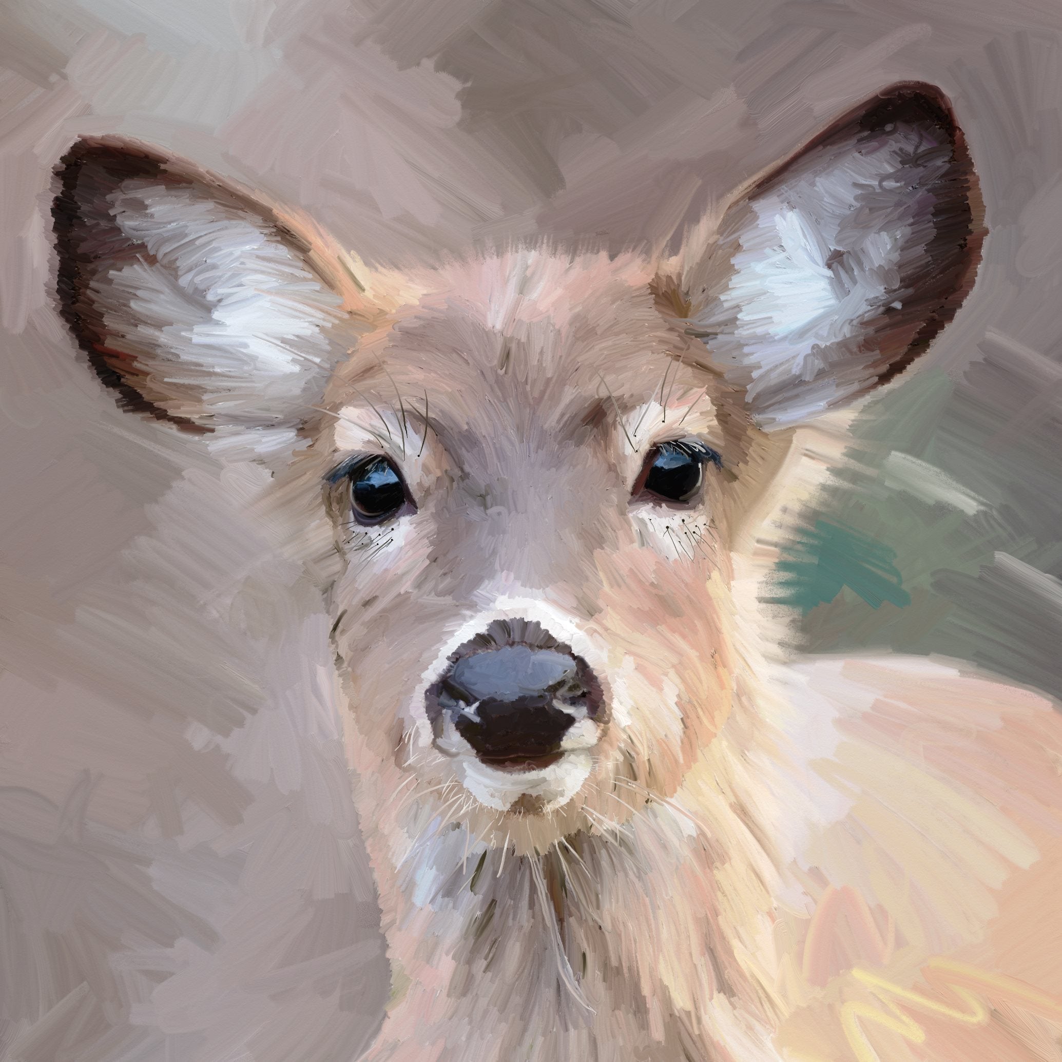 Adorable Doe - Framed art