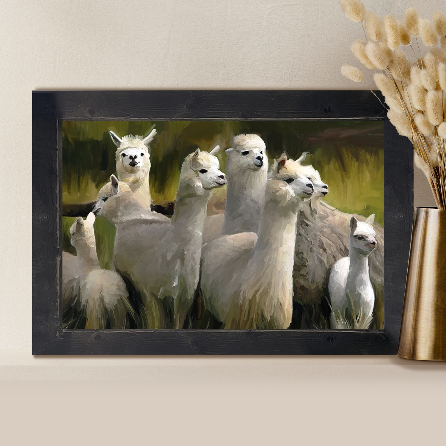 Herd of Alpacas