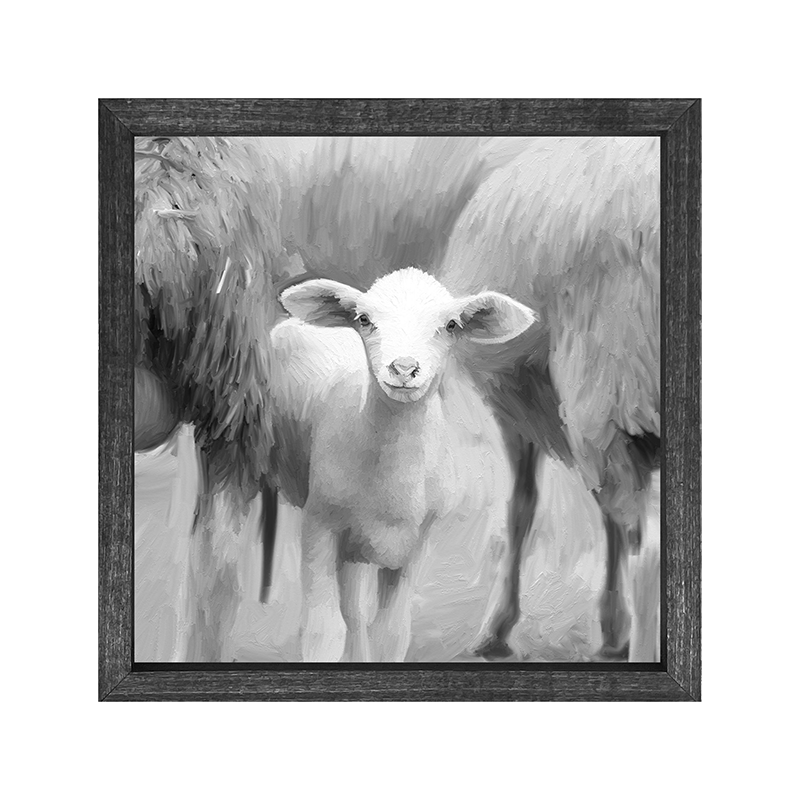 Little Sheep