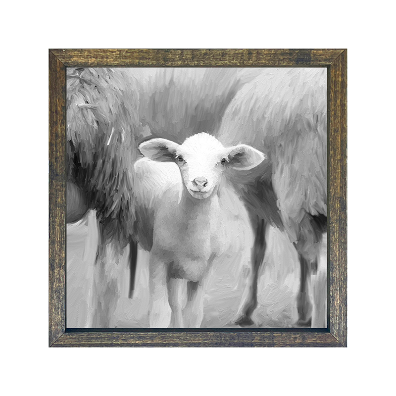 Little Sheep