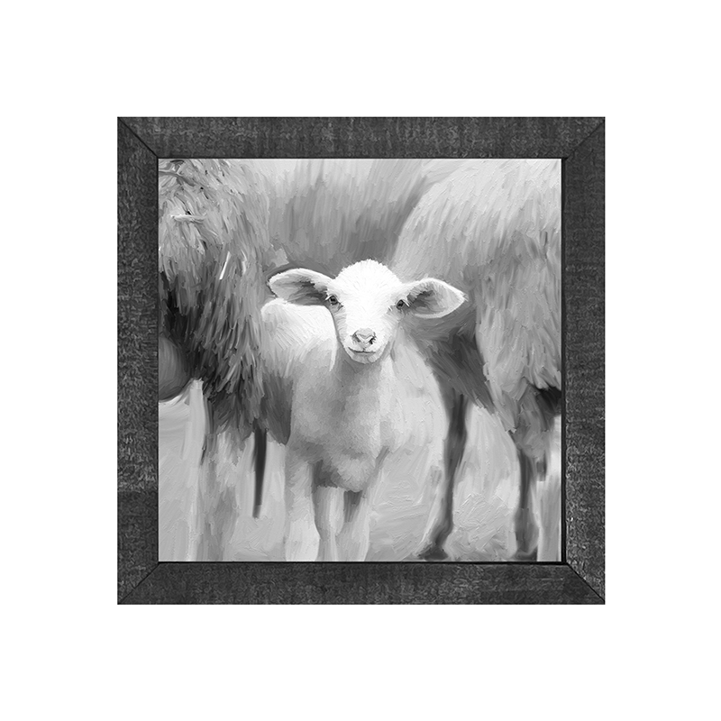Little Sheep