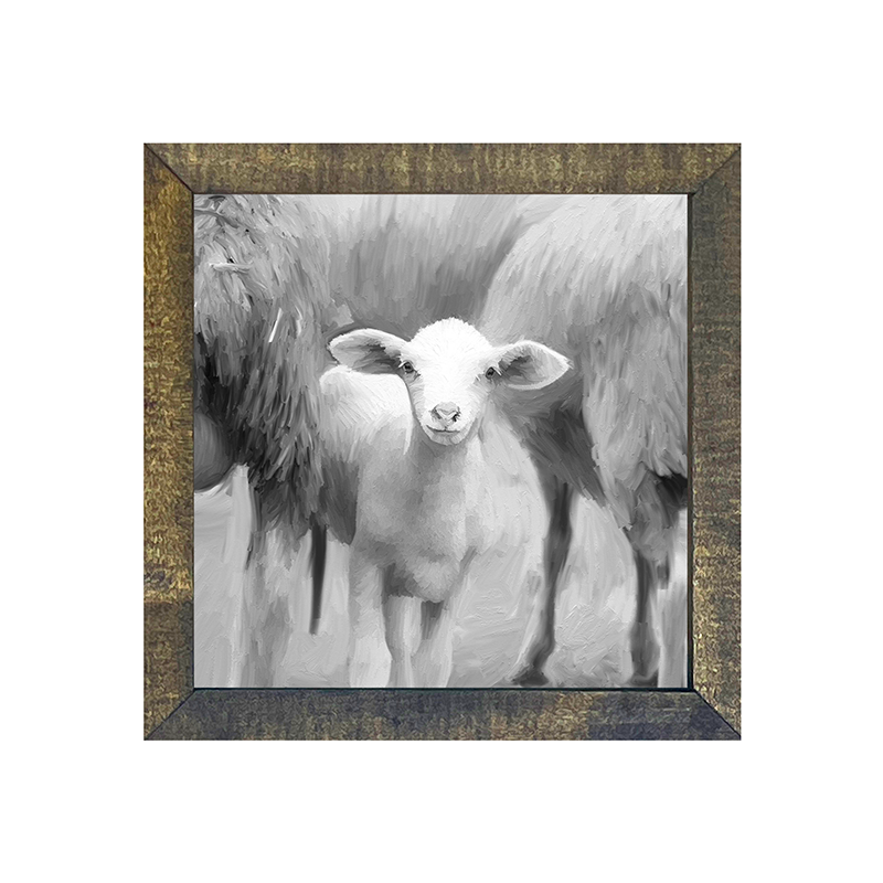 Little Sheep