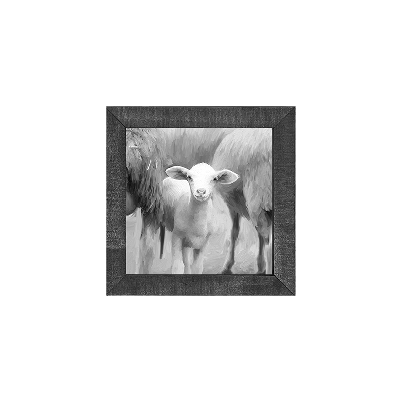 Little Sheep
