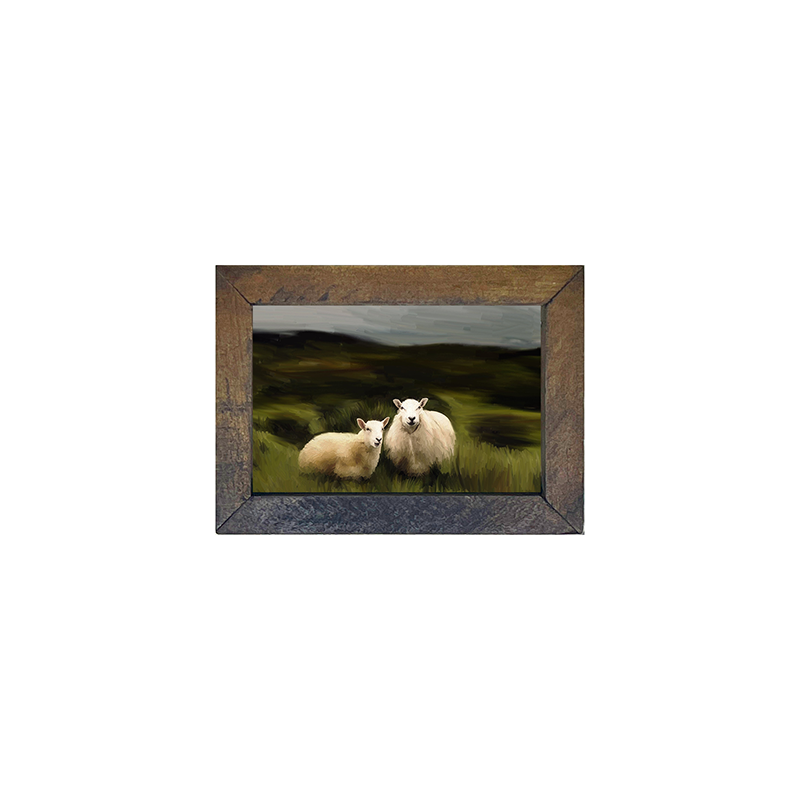 Two sheep pasture