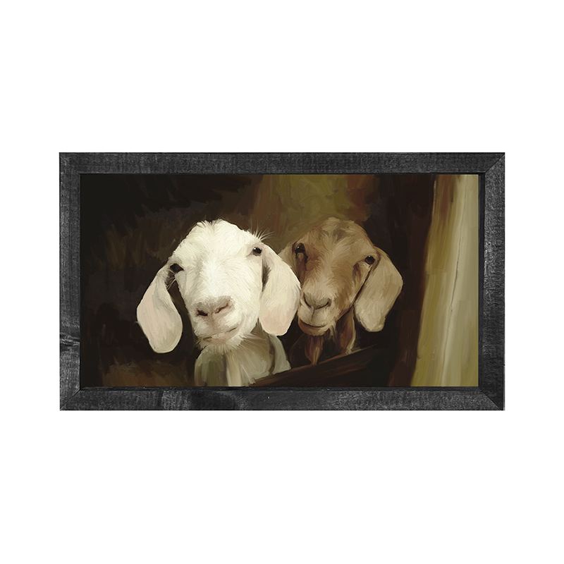 Two goat friends H