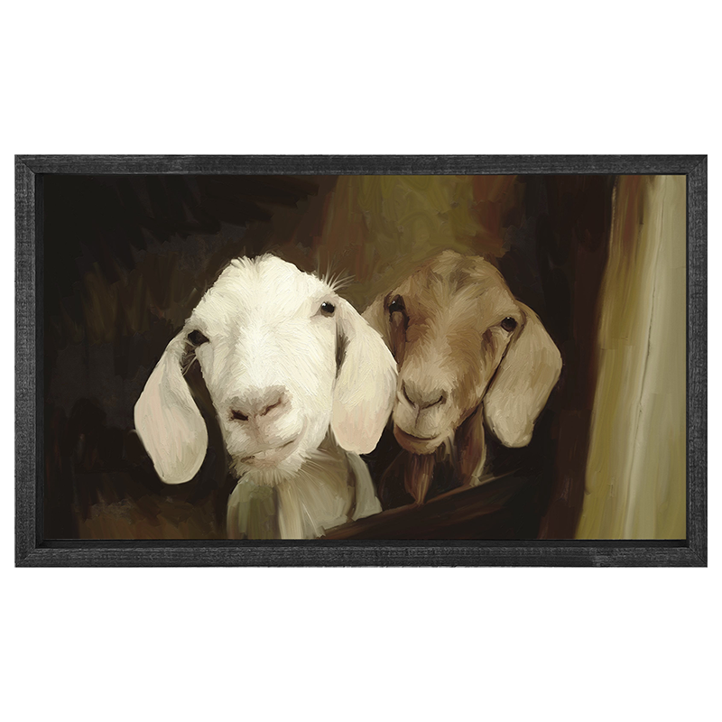 Two goat friends H