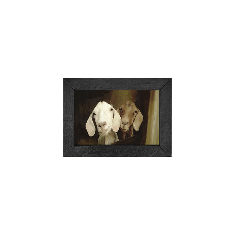 Two goat friends H