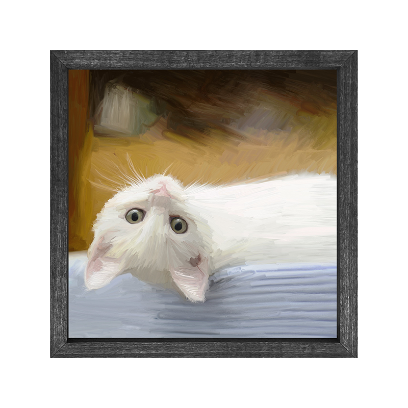 Kitten