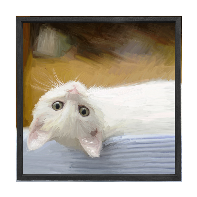 Kitten