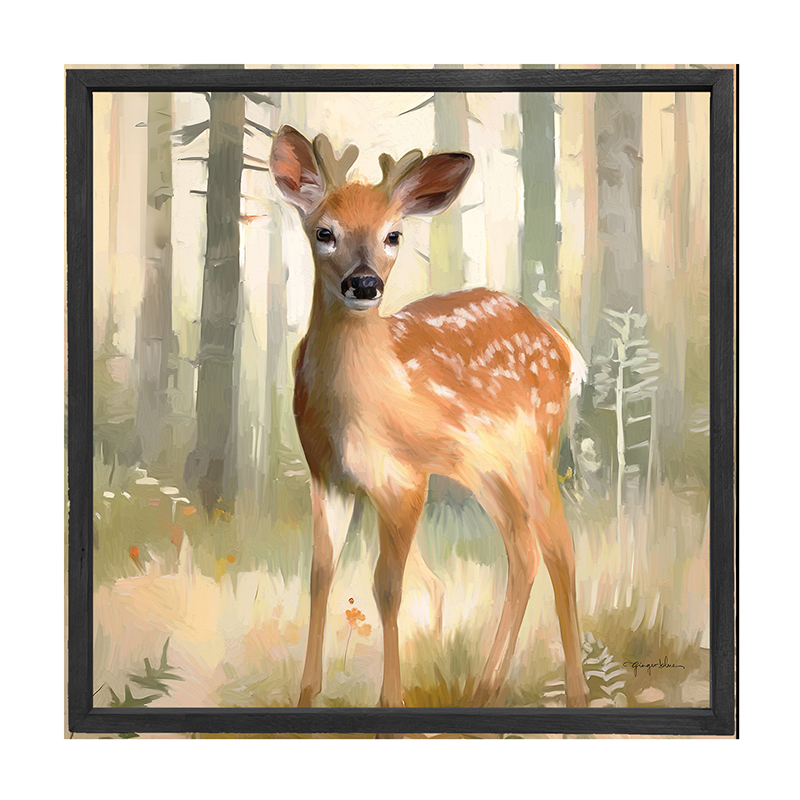Forest Deer