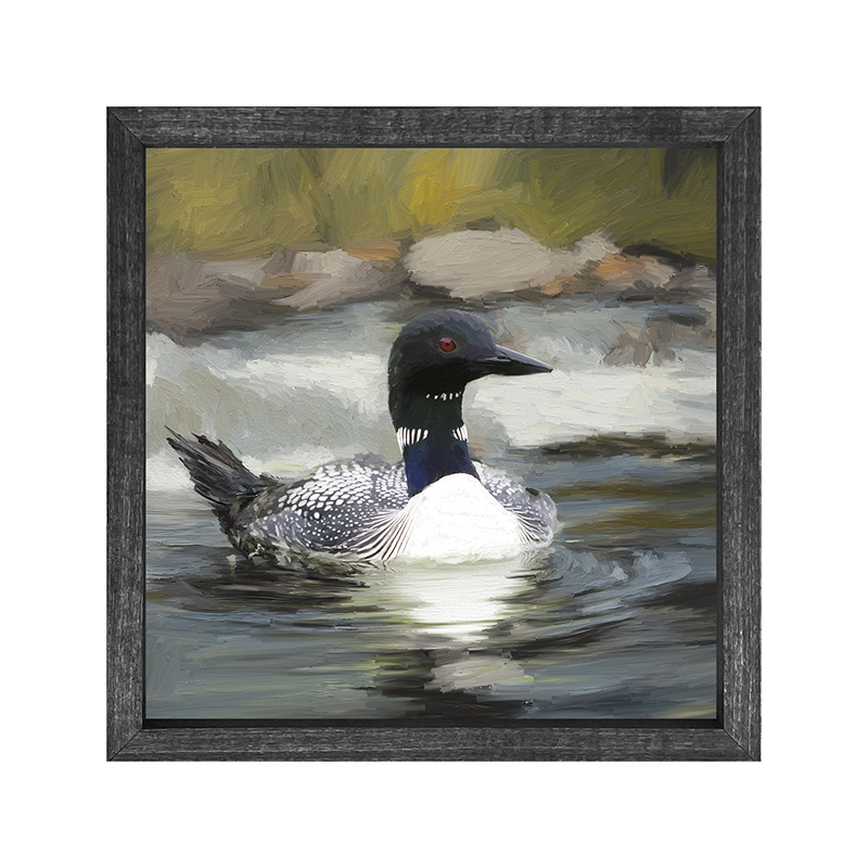 Loon in the Water