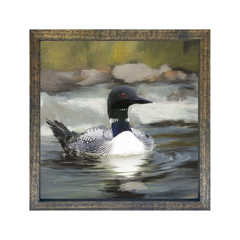 Loon in the Water