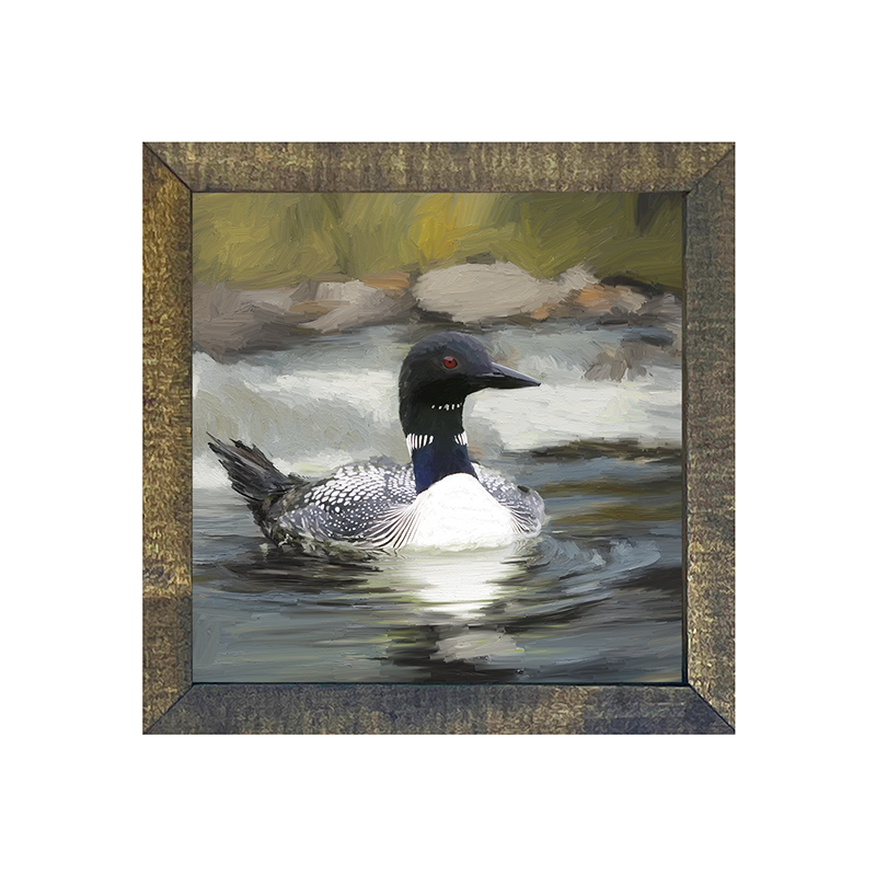 Loon in the Water