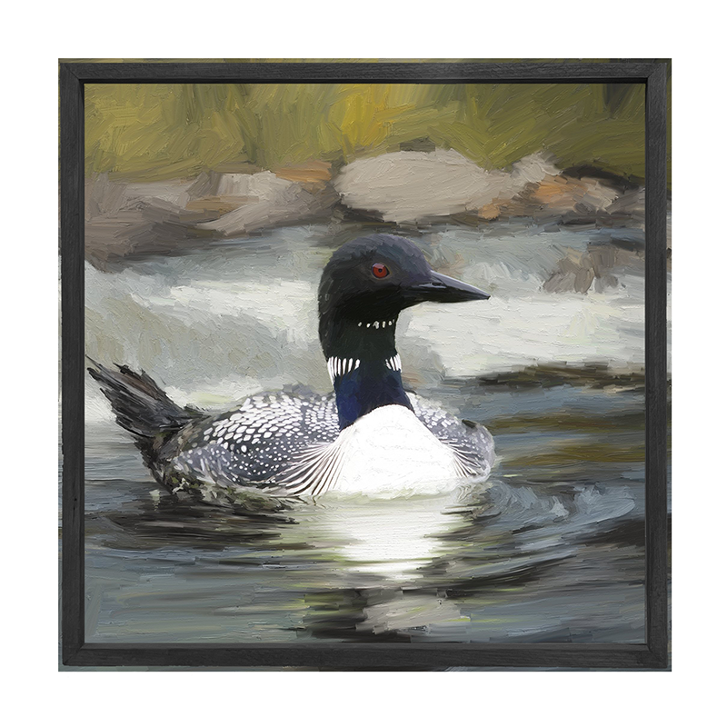 Loon in the Water