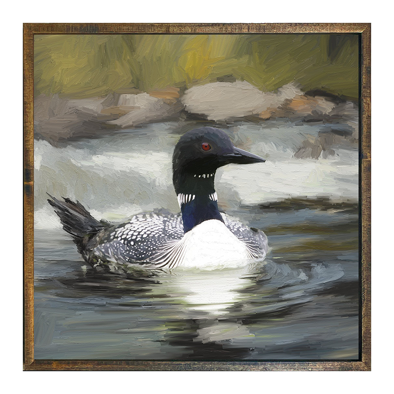 Loon in the Water