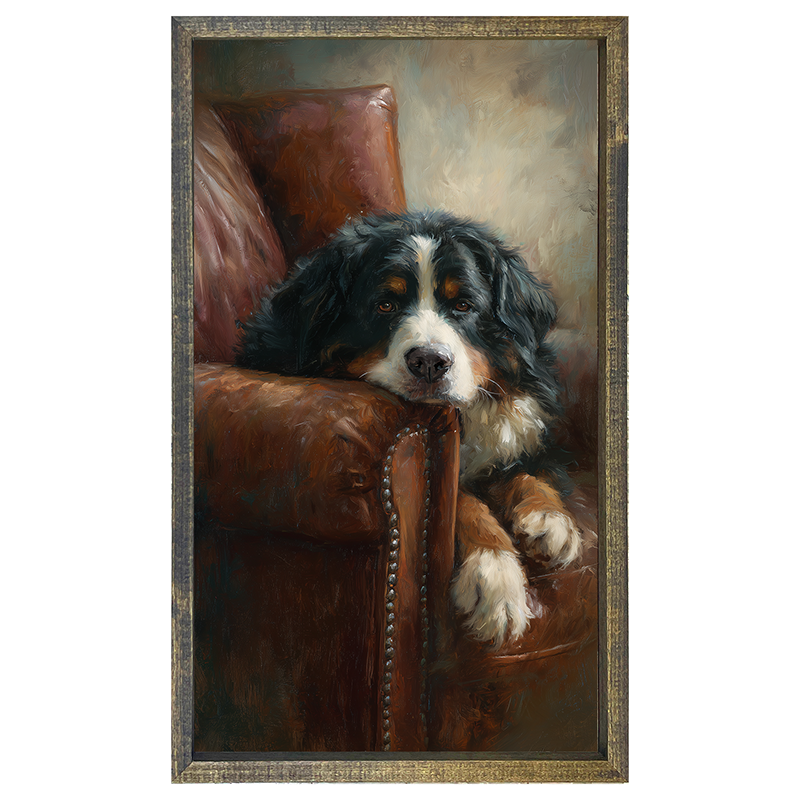 Armchair with Bernese Mountain Dog - Vertical Frame