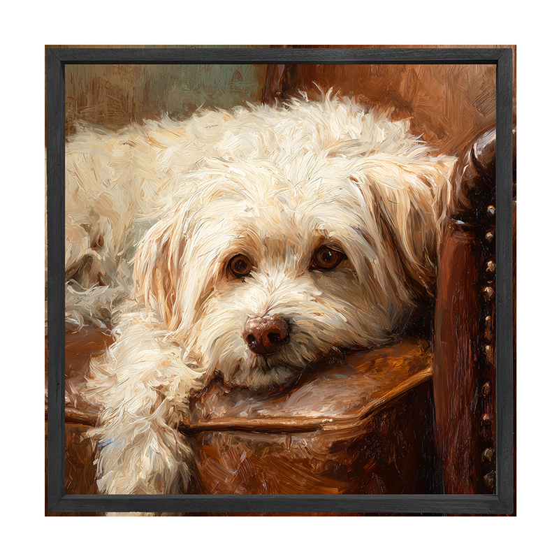 Armchair with Havanese Dog - Square Frame