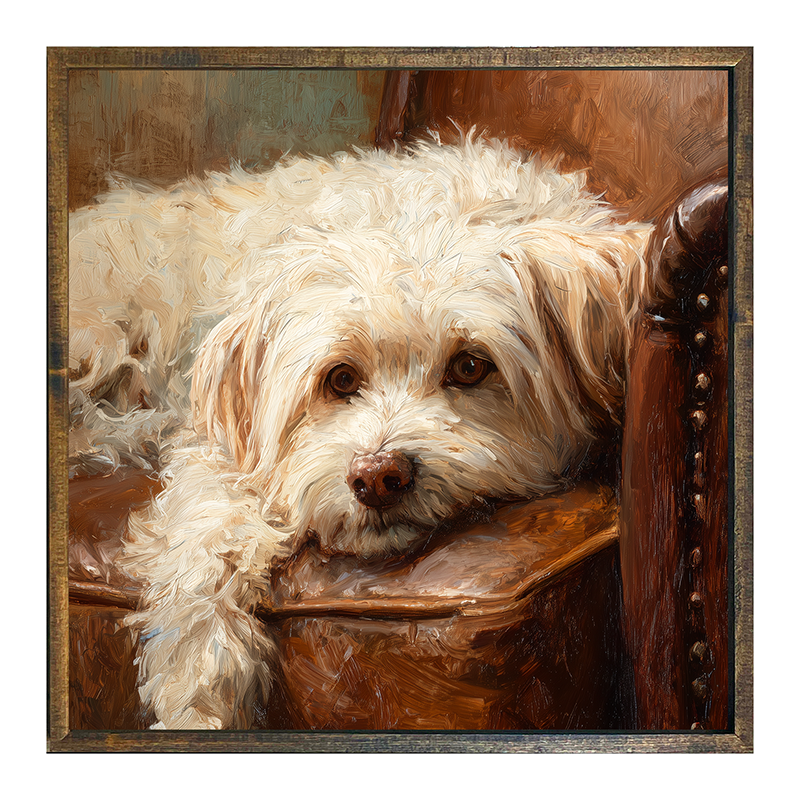 Armchair with Havanese Dog - Square Frame