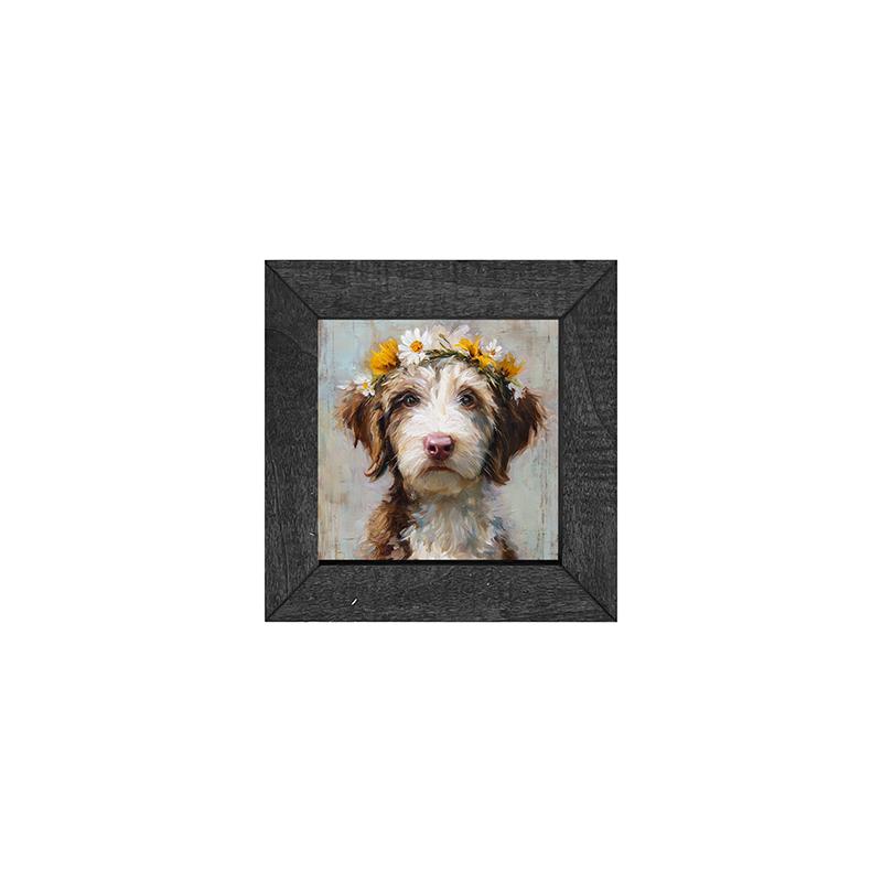 Spring Season Brown and White Labradoodle - Square Frame