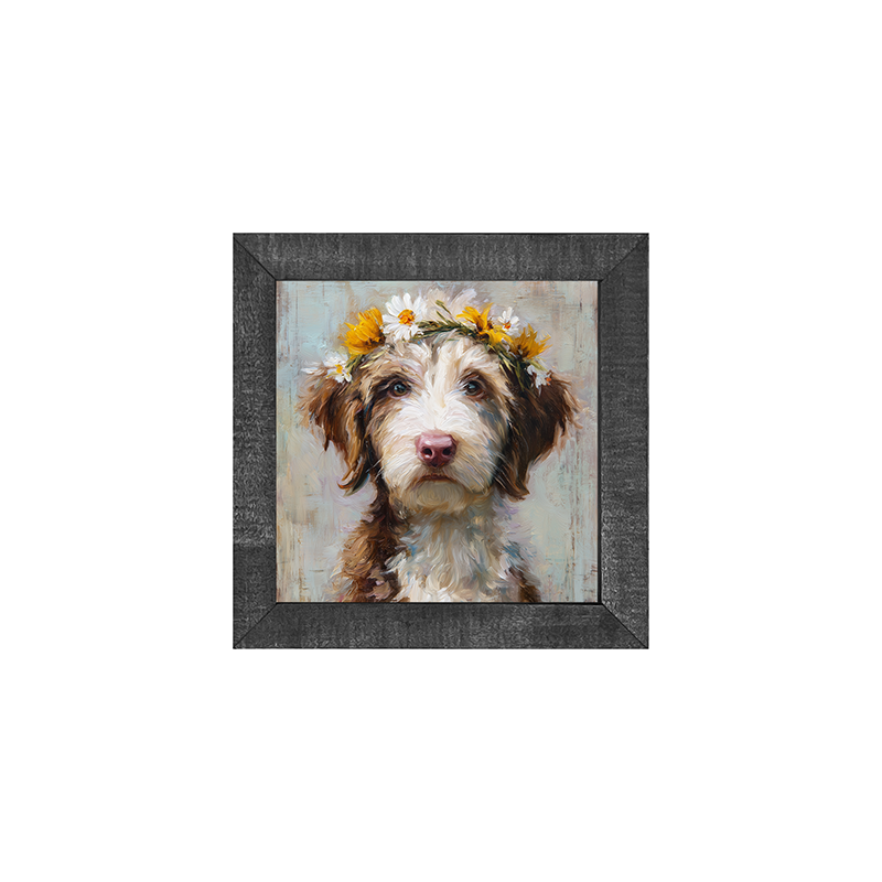 Spring Season Brown and White Labradoodle - Square Frame