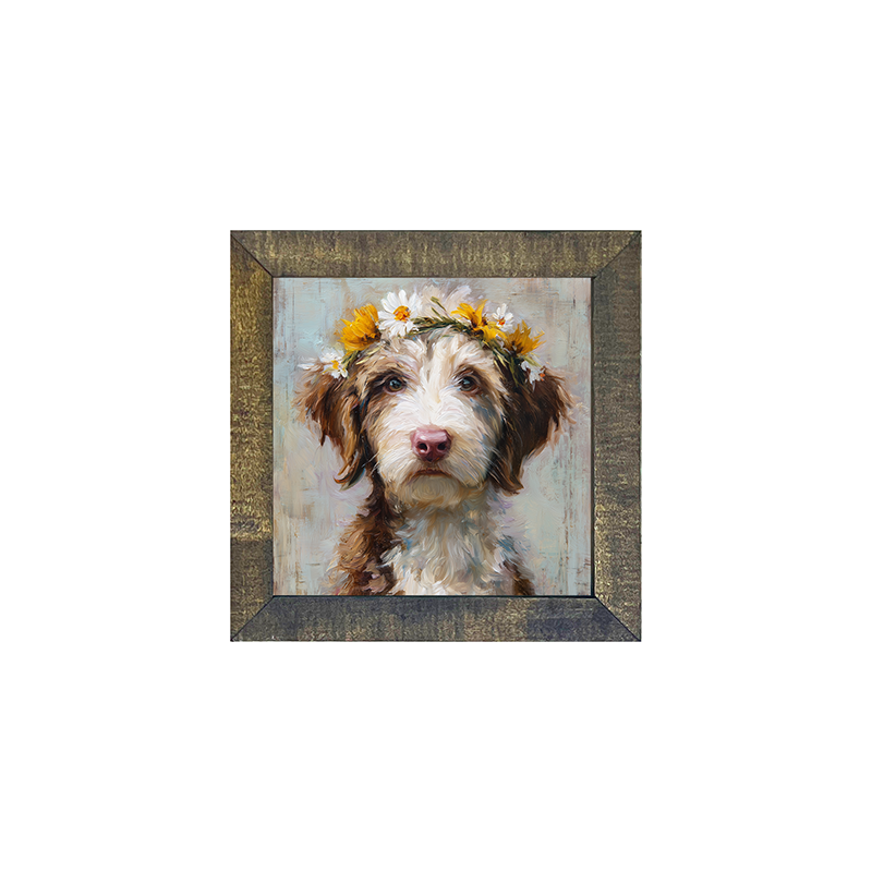 Spring Season Brown and White Labradoodle - Square Frame