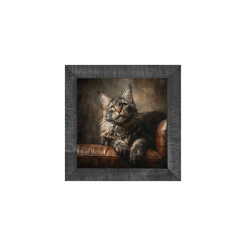 Armchair with Maine Coon Cat - Square Frame