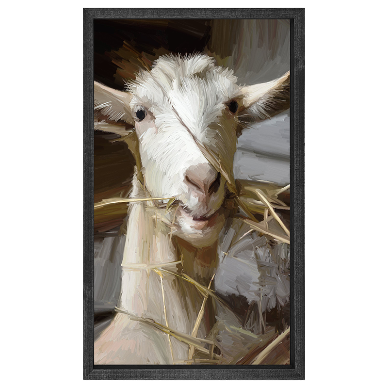 Goat Eating Grass
