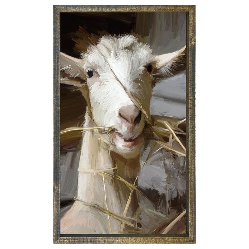 Goat Eating Grass