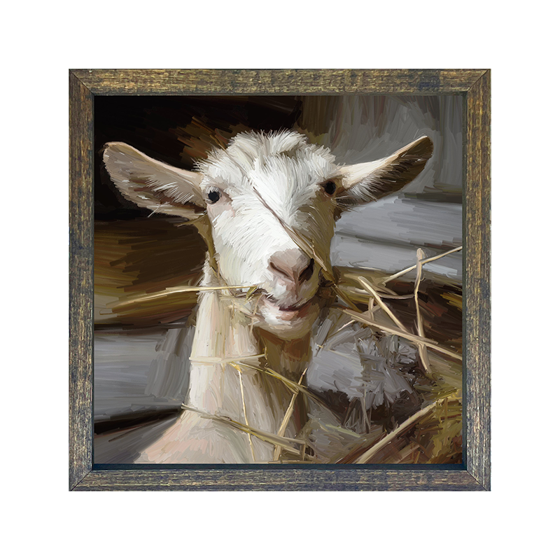 Goat Eating Grass