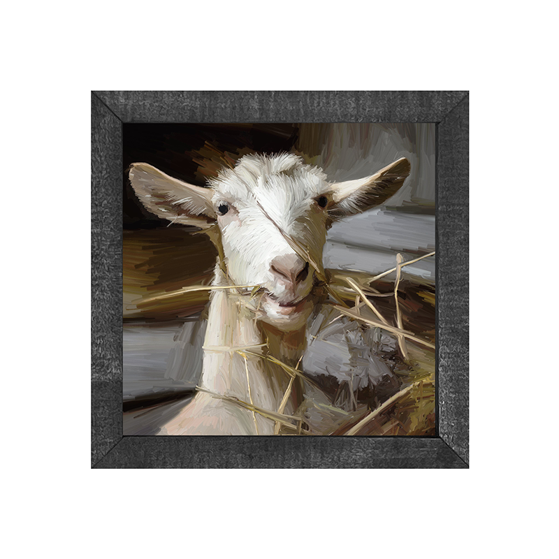 Goat Eating Grass