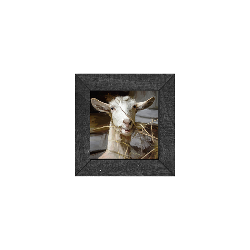 Goat Eating Grass