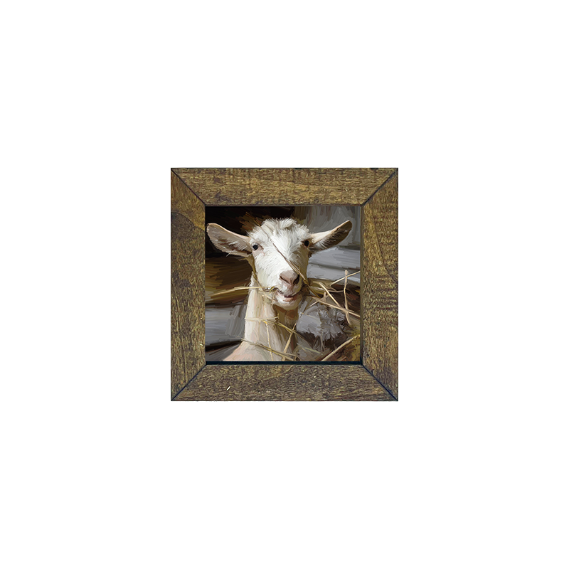 Goat Eating Grass