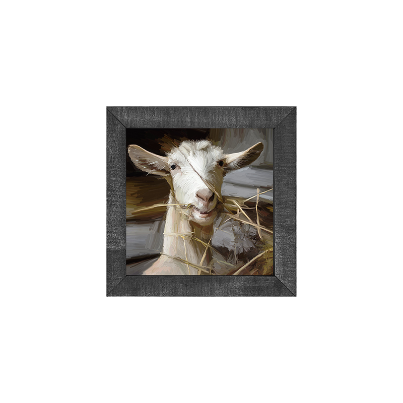 Goat Eating Grass