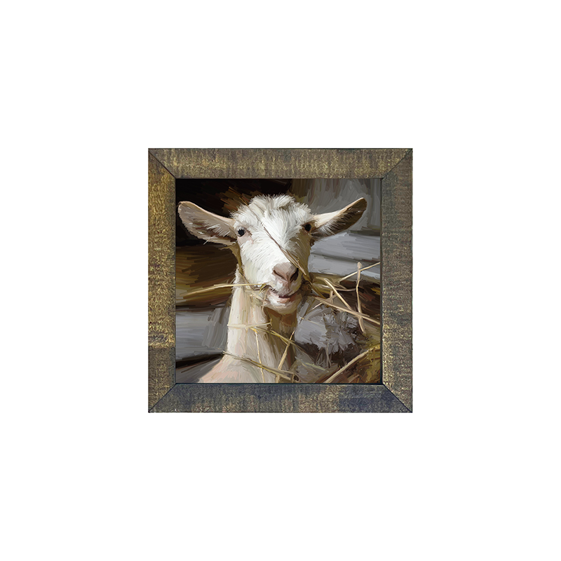 Goat Eating Grass