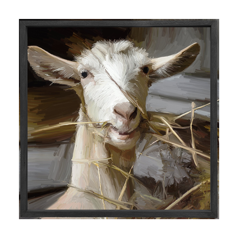 Goat Eating Grass