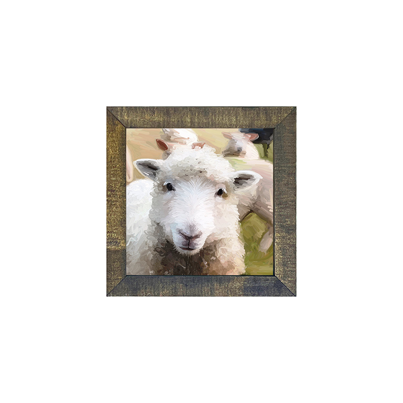 Lamb