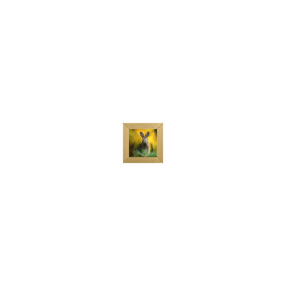 AD-206 in Metallic Gold Gallery Frame, M