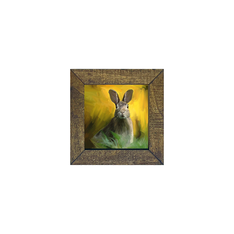 Bunny in the Meadow