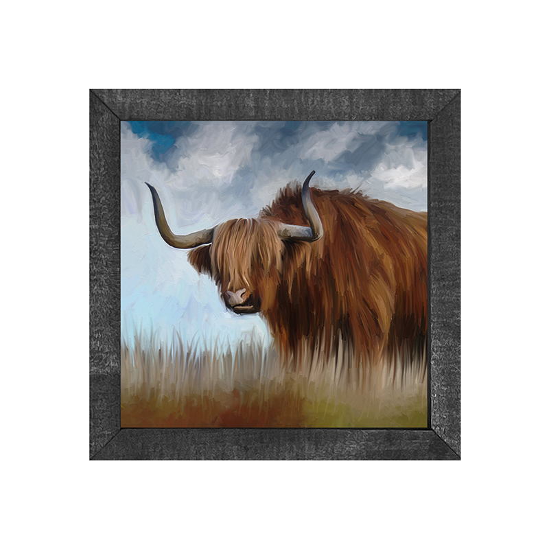 Highland Bull
