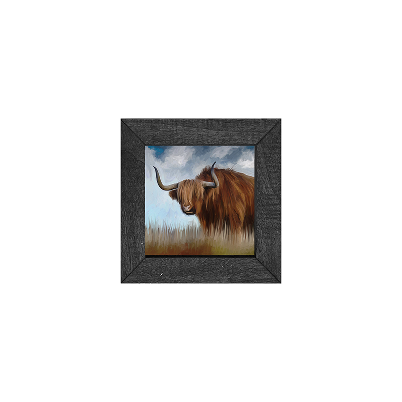 Highland Bull