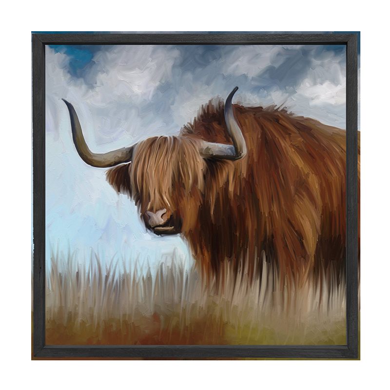 Highland Bull