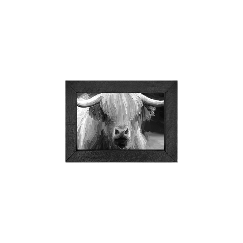 Highland Cow