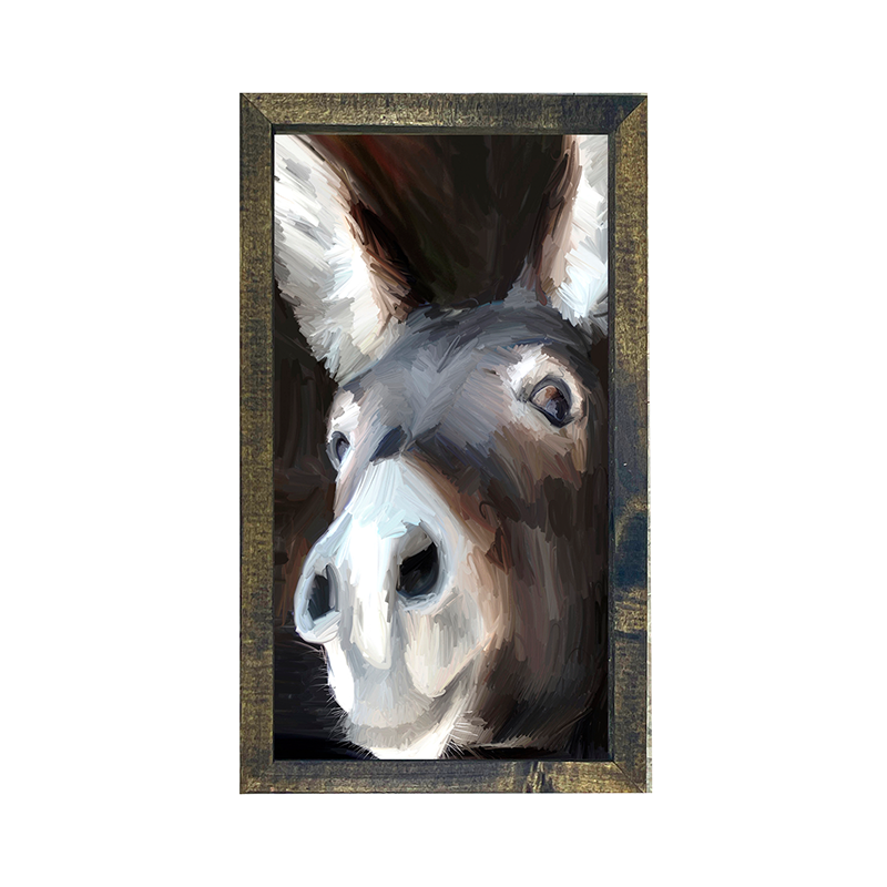 Donkey