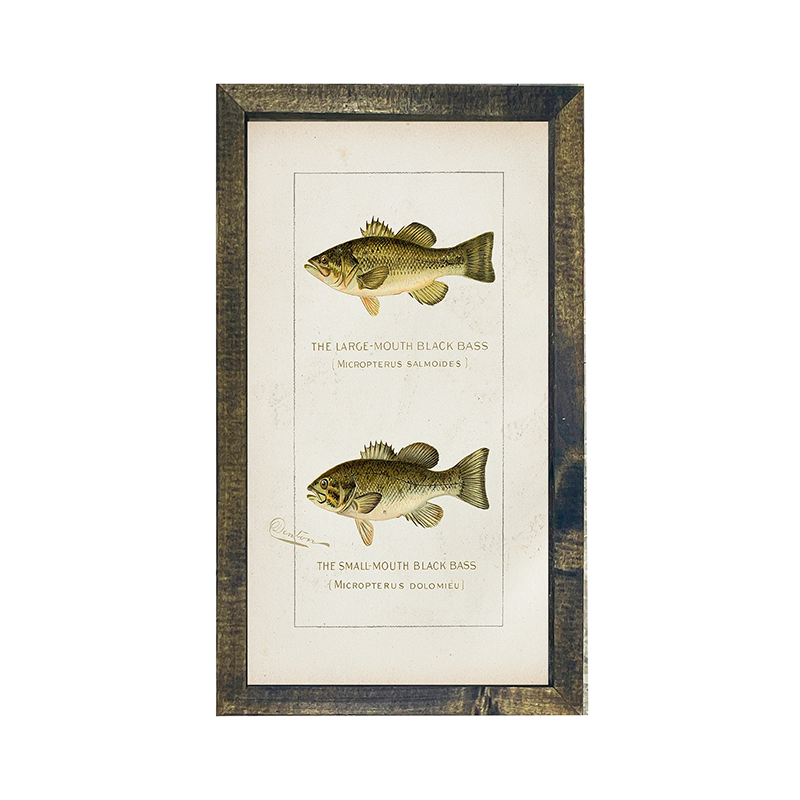 Fish-Bass