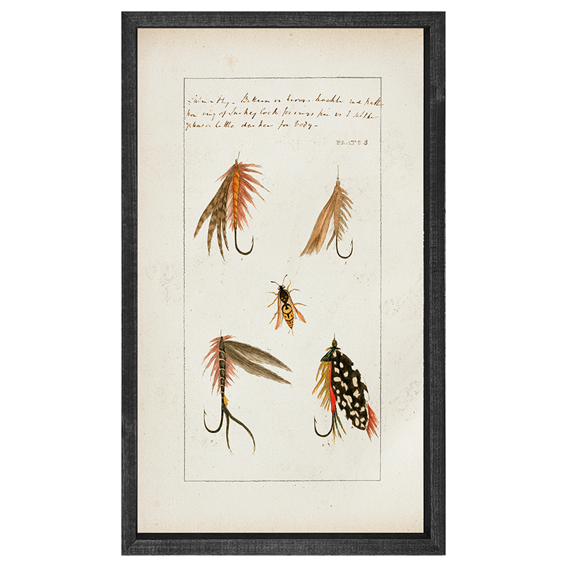 Fish-Lures