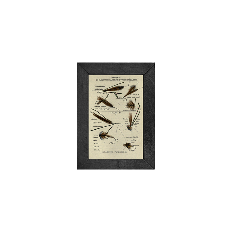 Multiple Lures