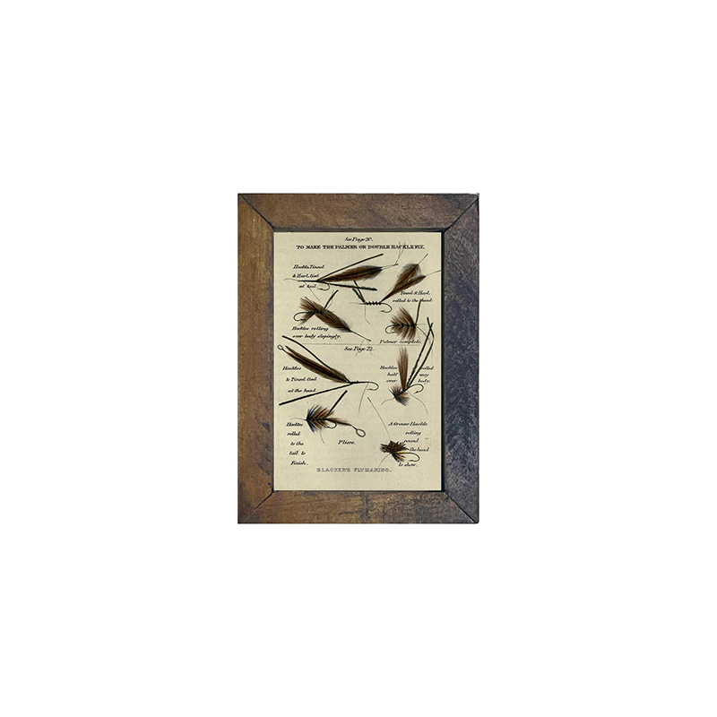 Multiple Lures