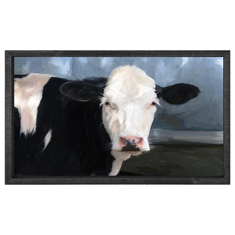 Holstein Cow white face