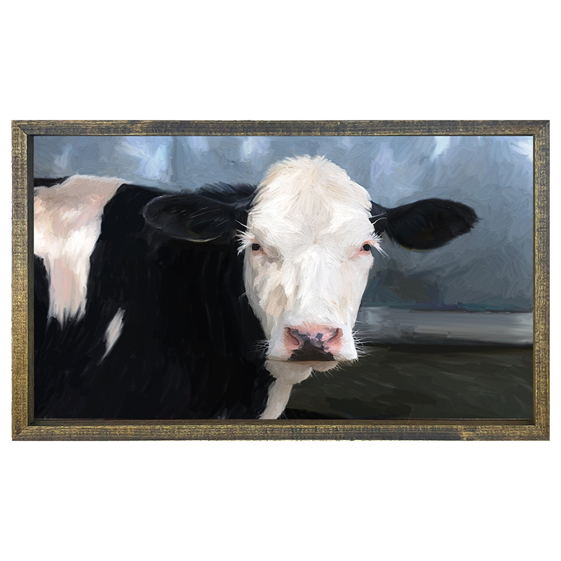 Holstein Cow white face